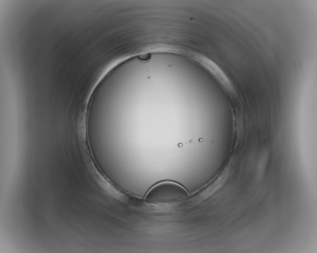 X0000113171244200909111028