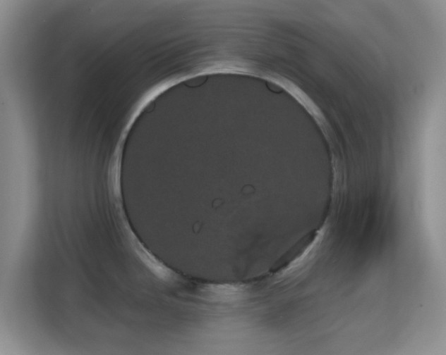X0000113171246200909111028
