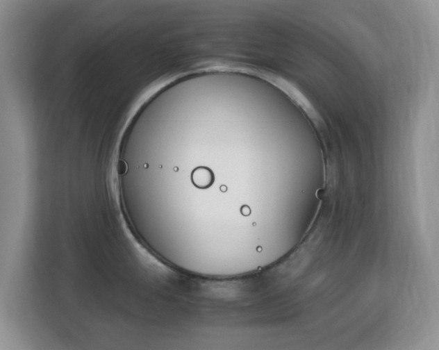X0000113171247200909111028