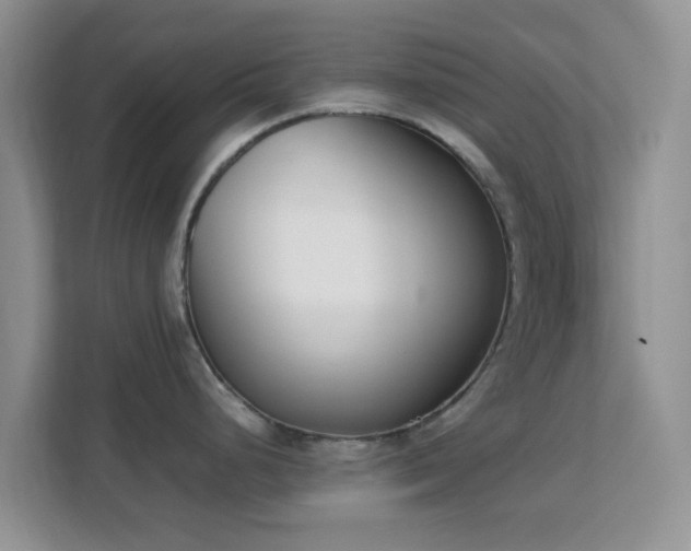 X0000113171248200909111028