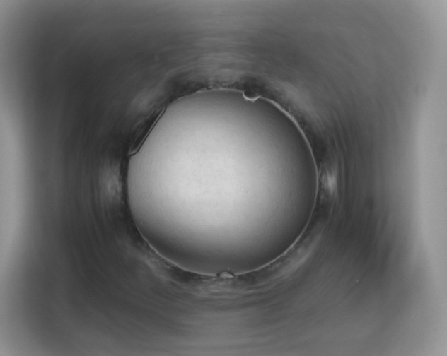 X0000113171252200909111027