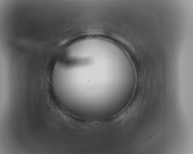 X0000113171255200909111027