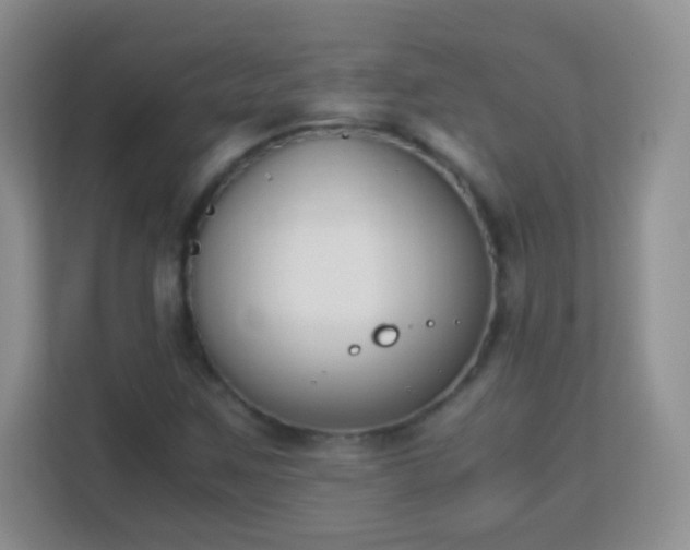 X0000113171259200909111027