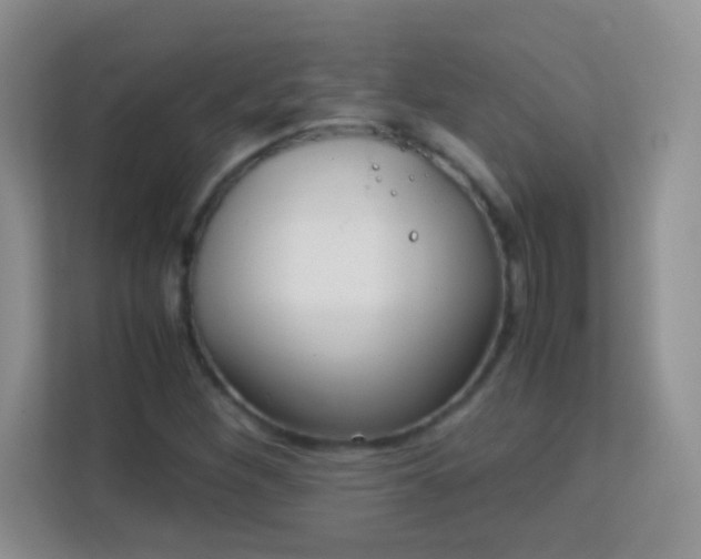 X0000113171260200909111027