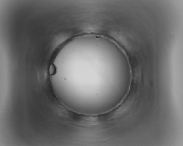 X0000113171261200909111027