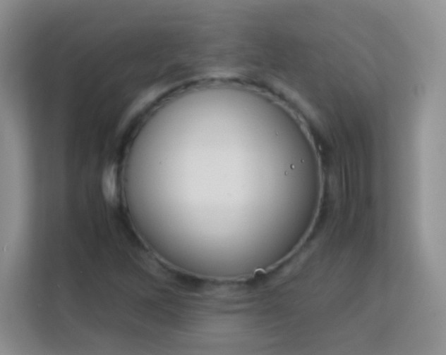 X0000113171262200909111027
