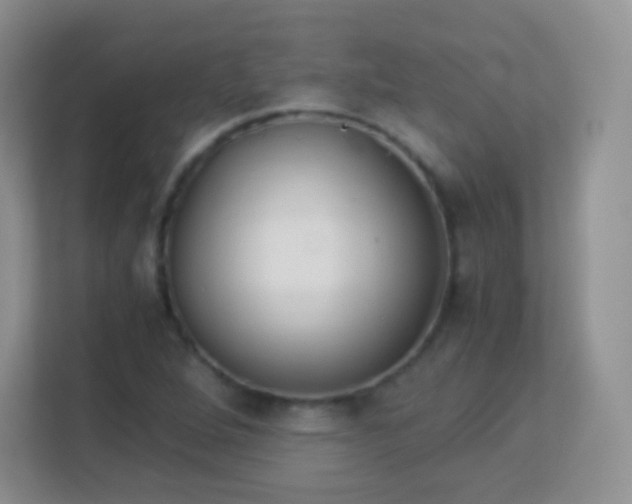 X0000113171264200909111027