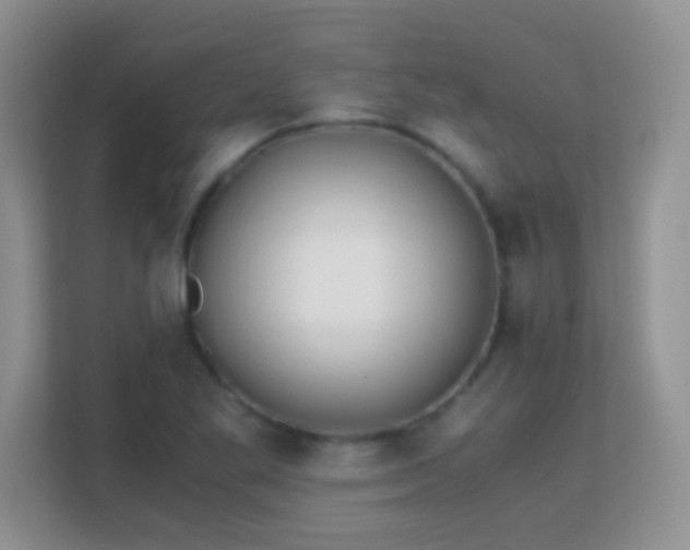 X0000113171269200909111027