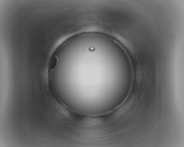 X0000113171270200909111027