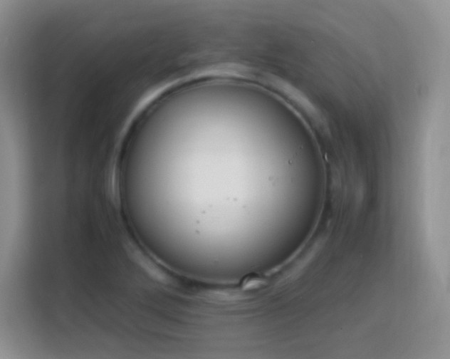 X0000113171272200909111027