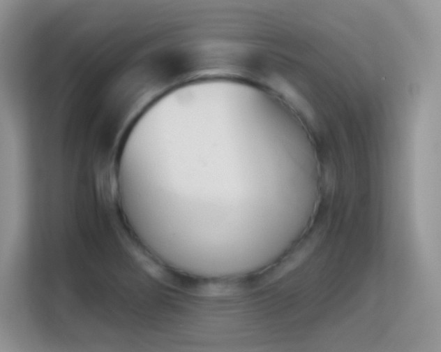 X0000113171274200909111027