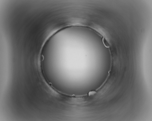 X0000113171285200909111027