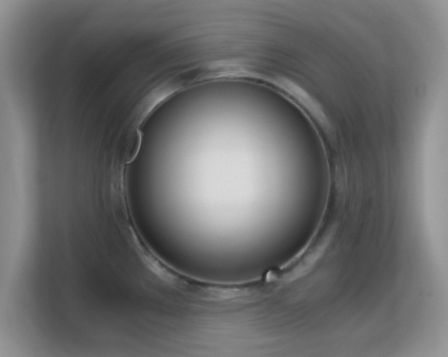 X0000113171289200909111027