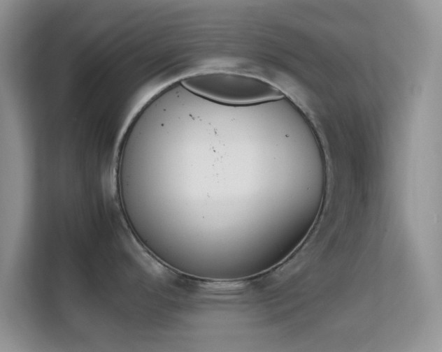 X0000113171296200909111027
