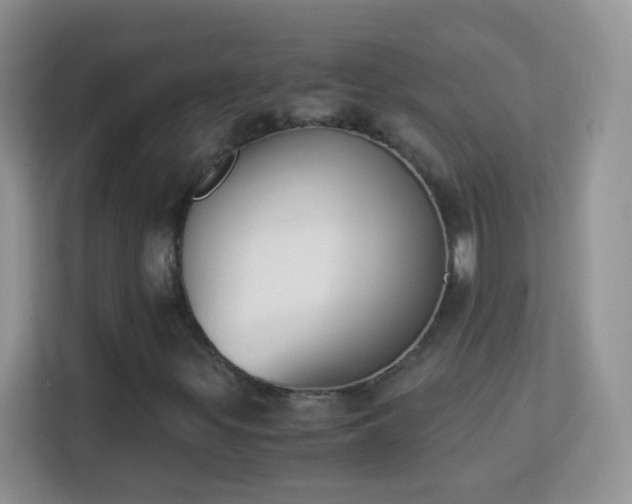X0000113171299200909111026