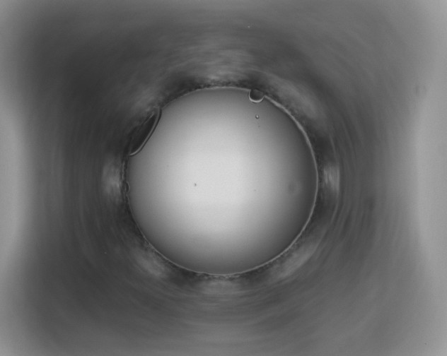 X0000113171300200909111026