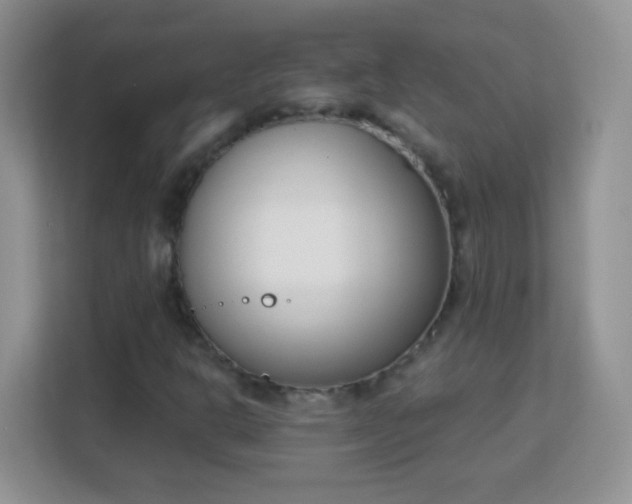 X0000113171302200909111026