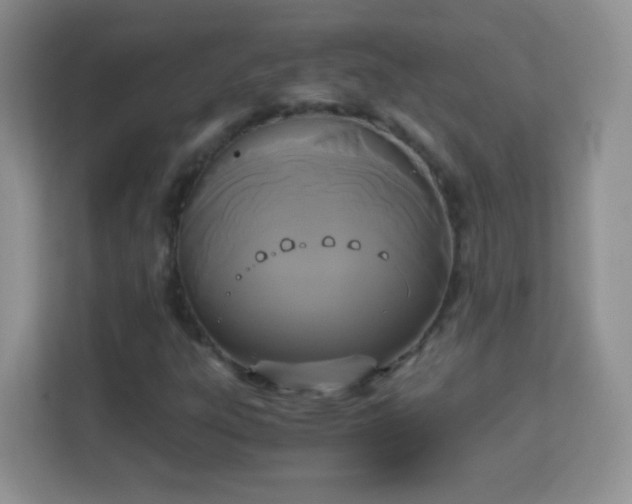 X0000113171303200909111026