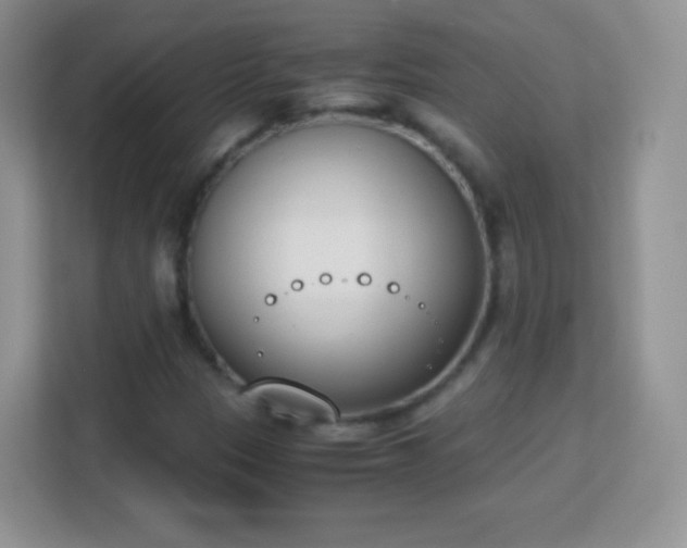 X0000113171305200909111026