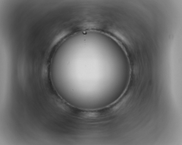 X0000113171309200909111026