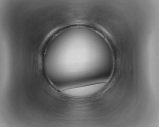 X0000113171310200909111026