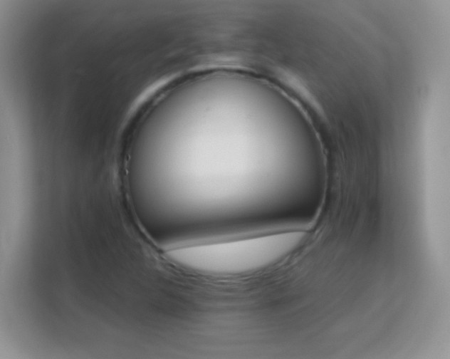 X0000113171312200909111026