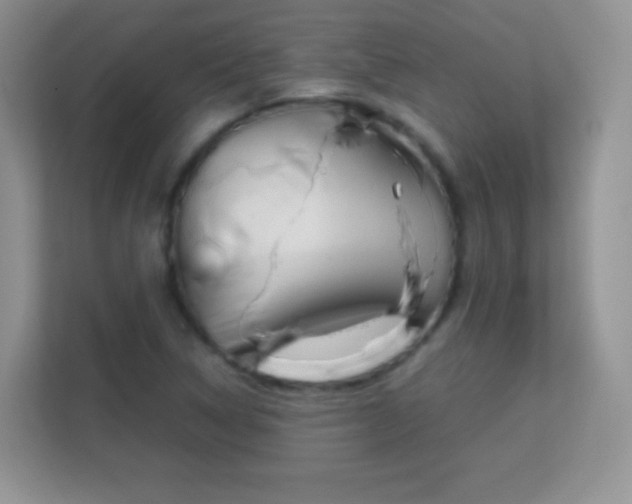 X0000113171314200909111026