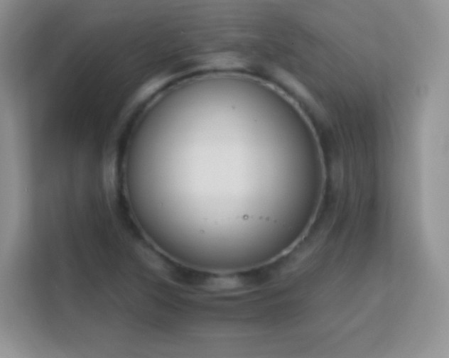 X0000113171315200909111026