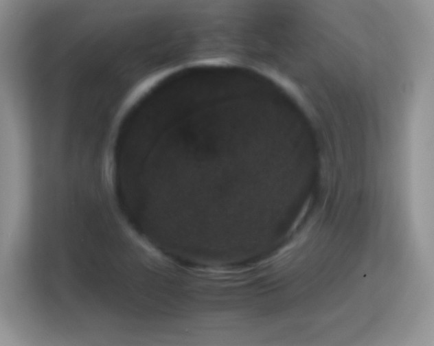 X0000113171319200909111026