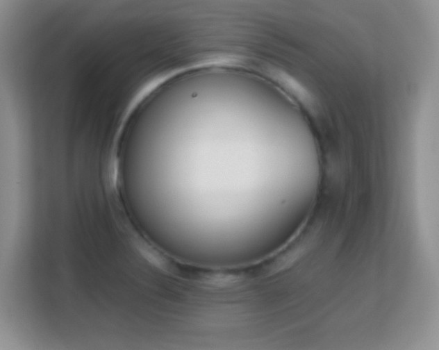 X0000113171324200909111027