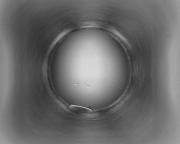 X0000113171325200909111027