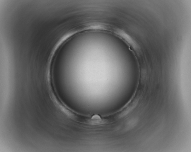 X0000113171331200909111027