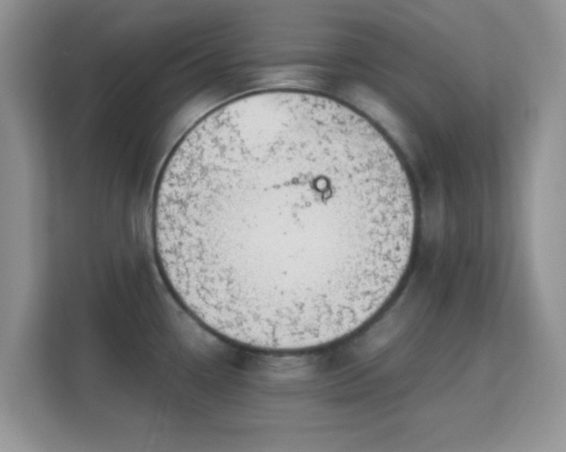 X0000113171338200909111027