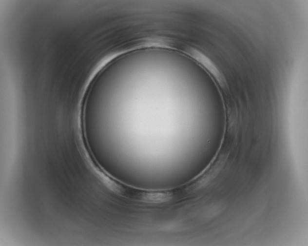 X0000113171339200909111027