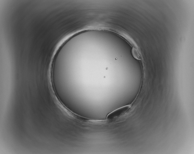 X0000113171344200909111027