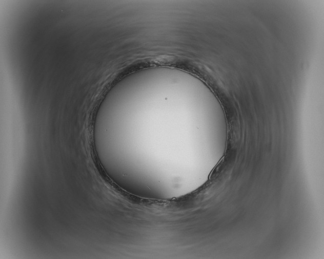 X0000113171345200909111026