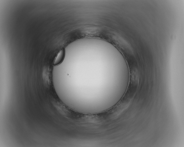 X0000113171346200909111026