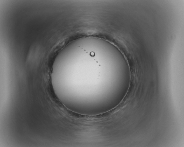 X0000113171349200909111026
