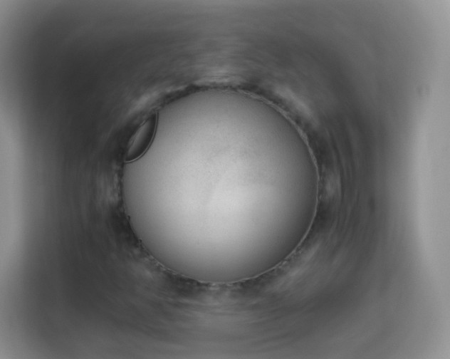 X0000113171350200909111026