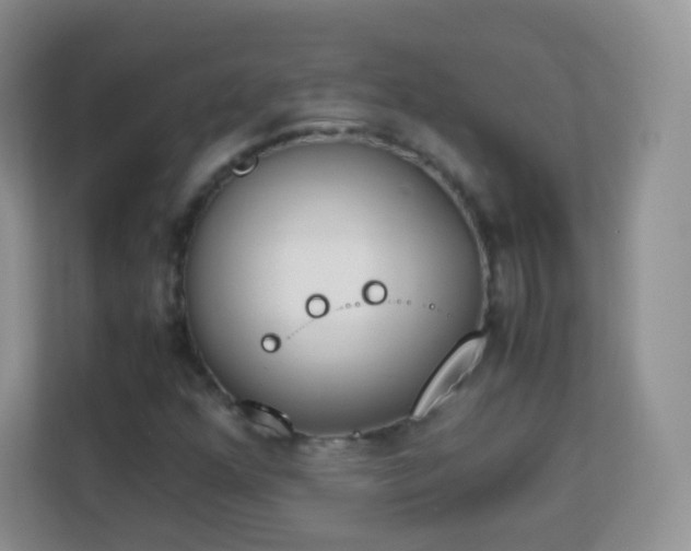 X0000113171352200909111026