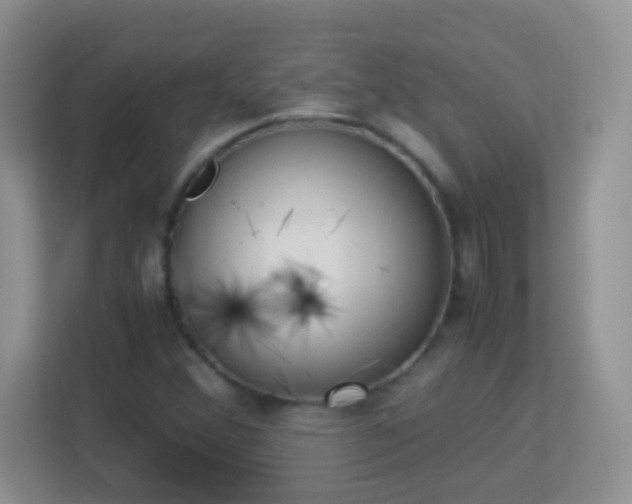 X0000113171356200909111026