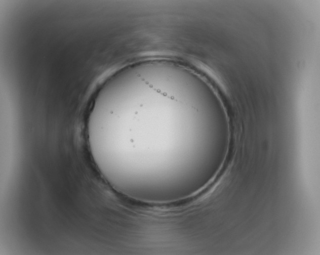 X0000113171357200909111026