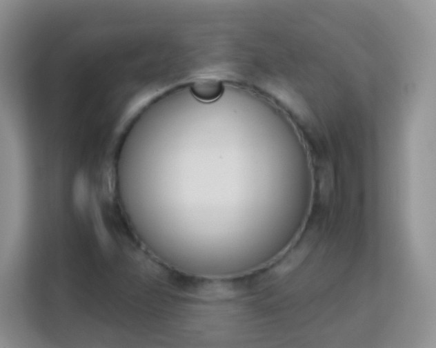 X0000113171358200909111026