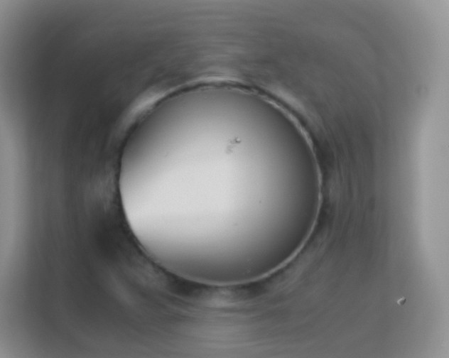 X0000113171359200909111026