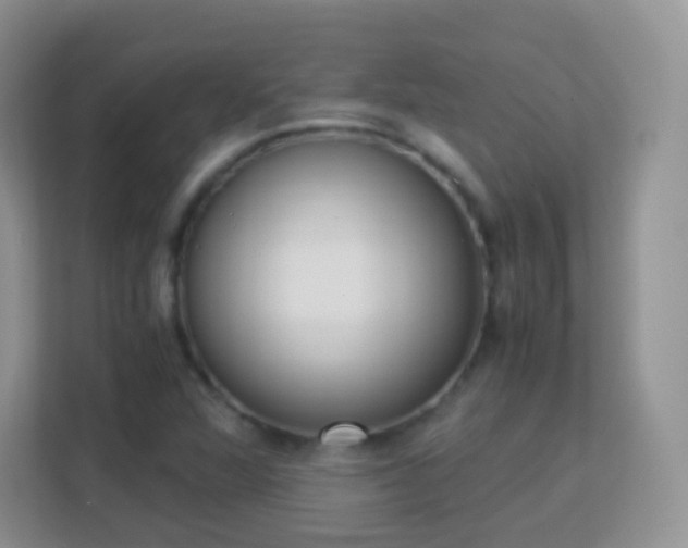 X0000113171360200909111026