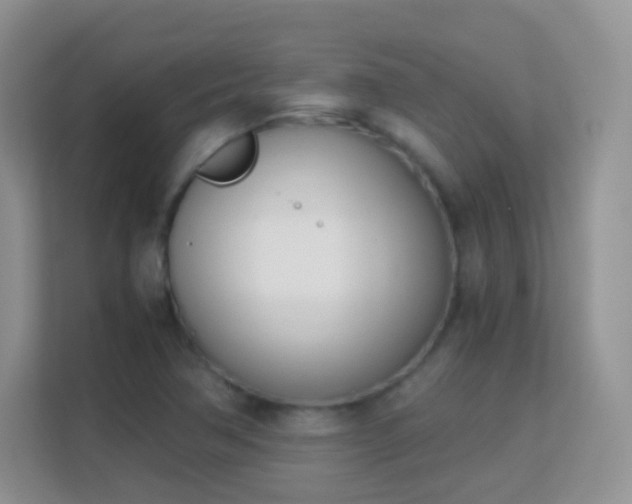 X0000113171362200909111026