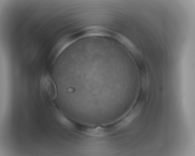 X0000113171369200909111026