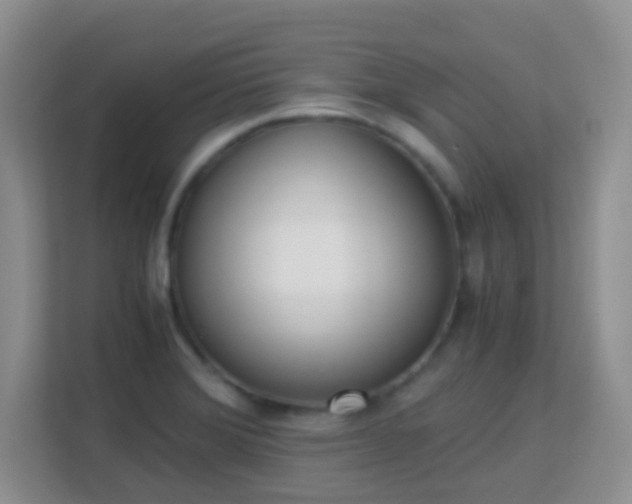 X0000113171372200909111026