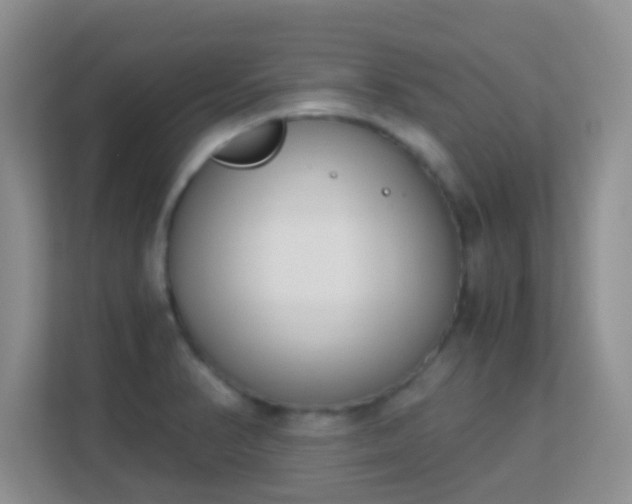 X0000113171374200909111026