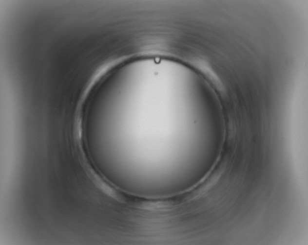 X0000113171376200909111026